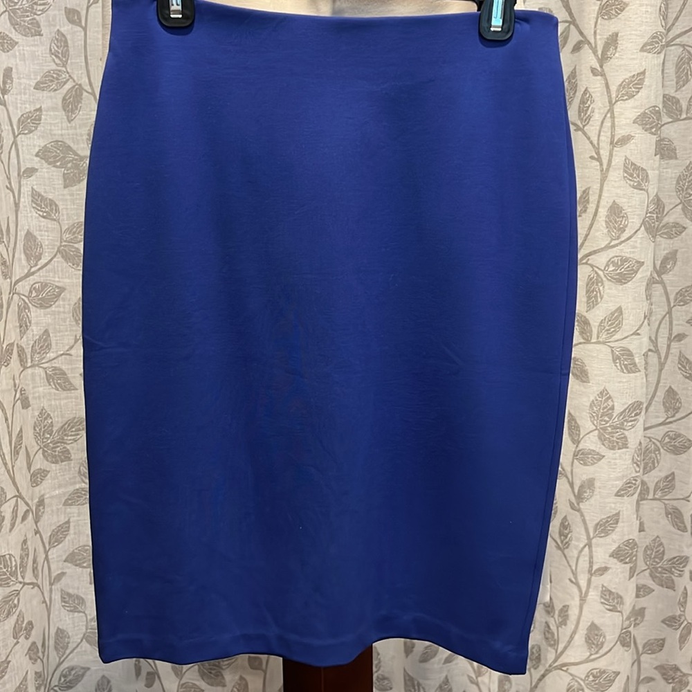 Nordstrom Rack/Philosophy NWOT blue purple color pencil skirt. Gold zipper back.